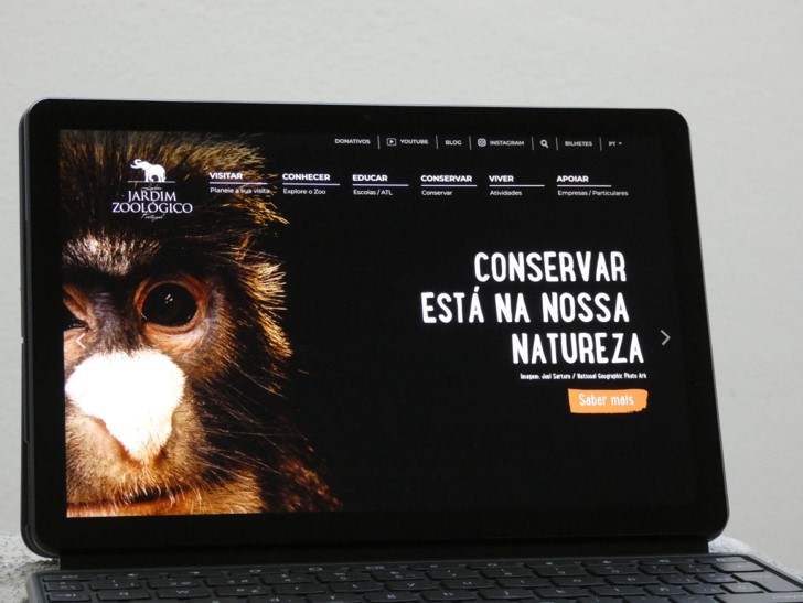 O Marketing no Jardim Zoológico