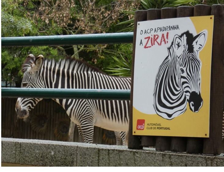 O Marketing no Jardim Zoológico de Lisboa
