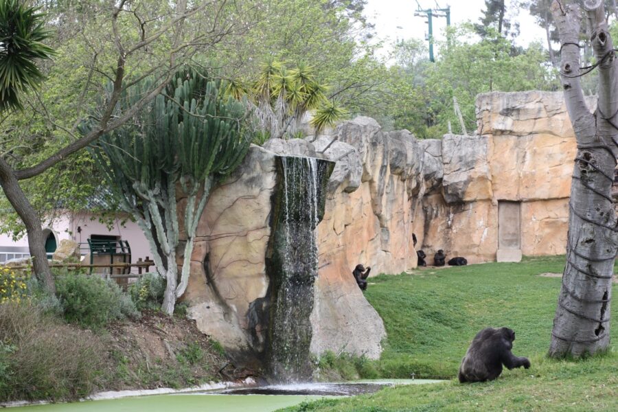 Enriquecimento Ambiental do Jardim Zoológico de Lisboa