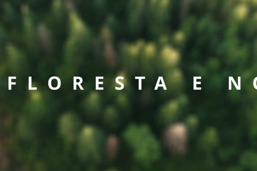 A floresta e nós