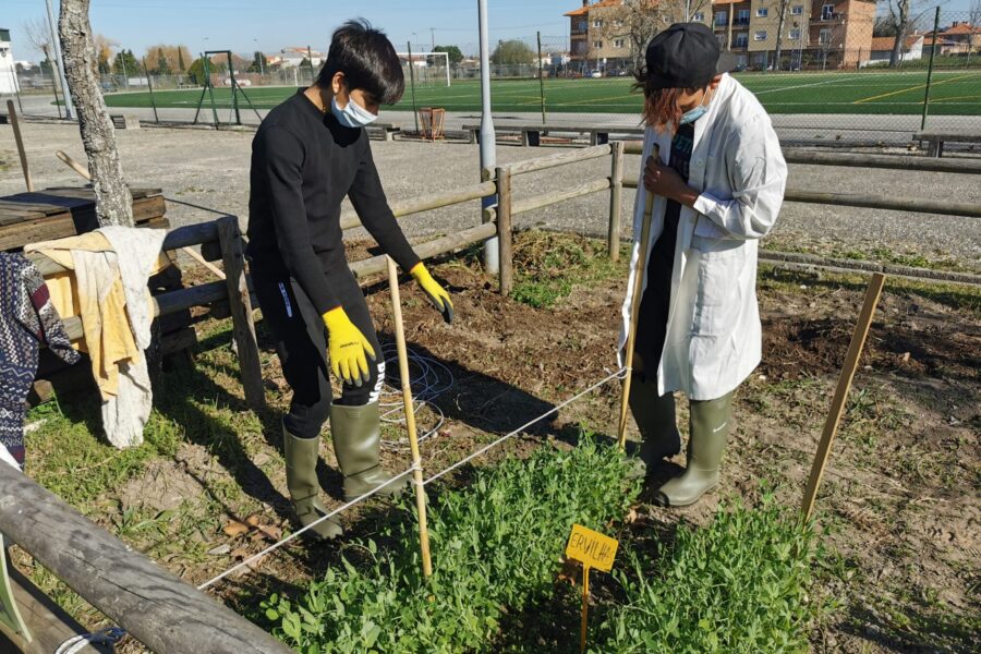 O Trio Agricultor