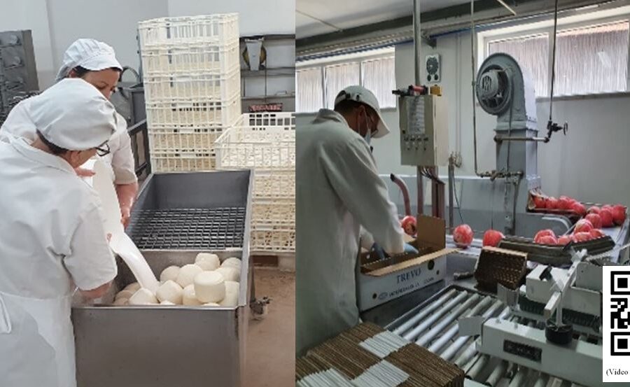 Visita à Quinta da Tapada: Produção de Queijo