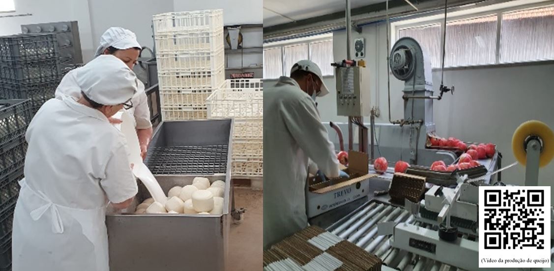 Visita à Quinta da Tapada: Produção de Queijo