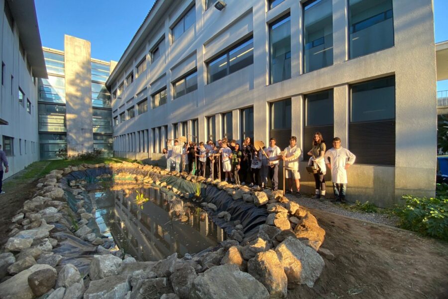 Alunos constroem zona húmida em escola de Braga