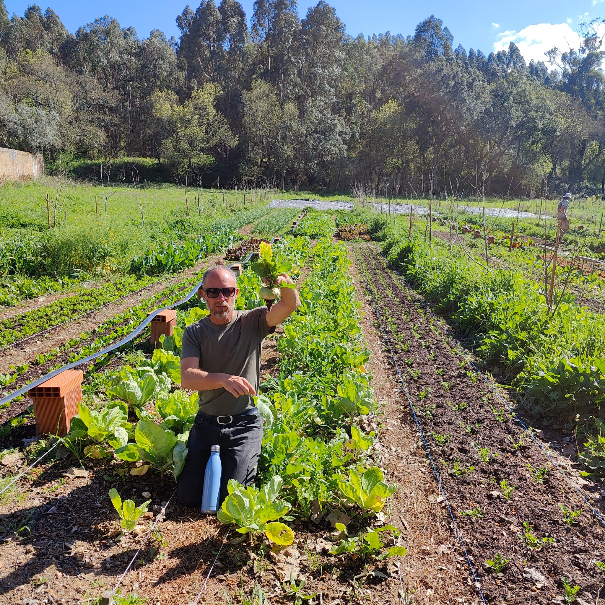 Agricultura Regenerativa, um exemplo de sustentabilidade nas Hortas da Rainha.