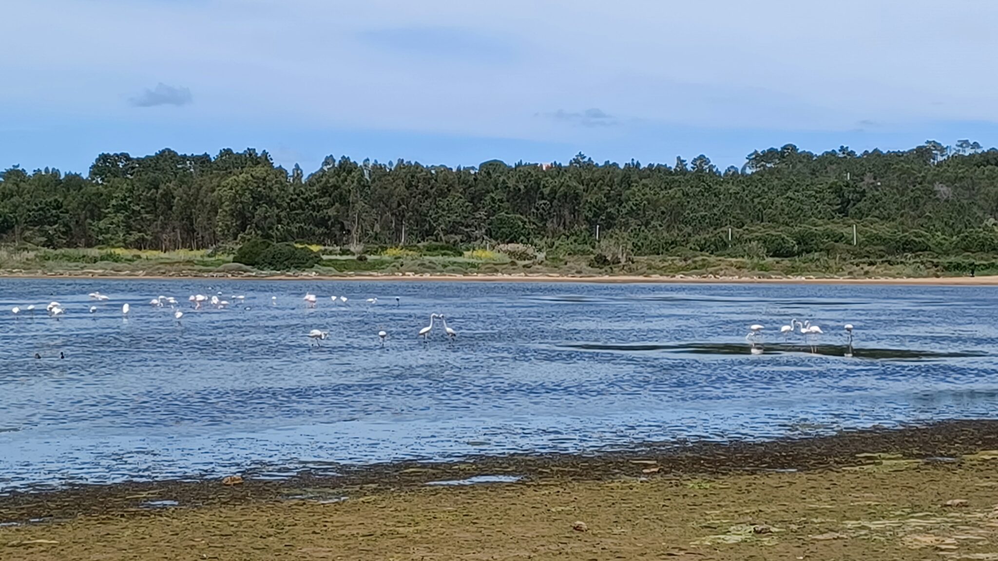 À descoberta da maior lagoa da costa portuguesa