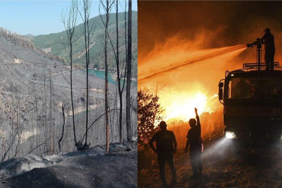 Forest fires: a similar problem in Portugal and Turkey that requires common strategies
