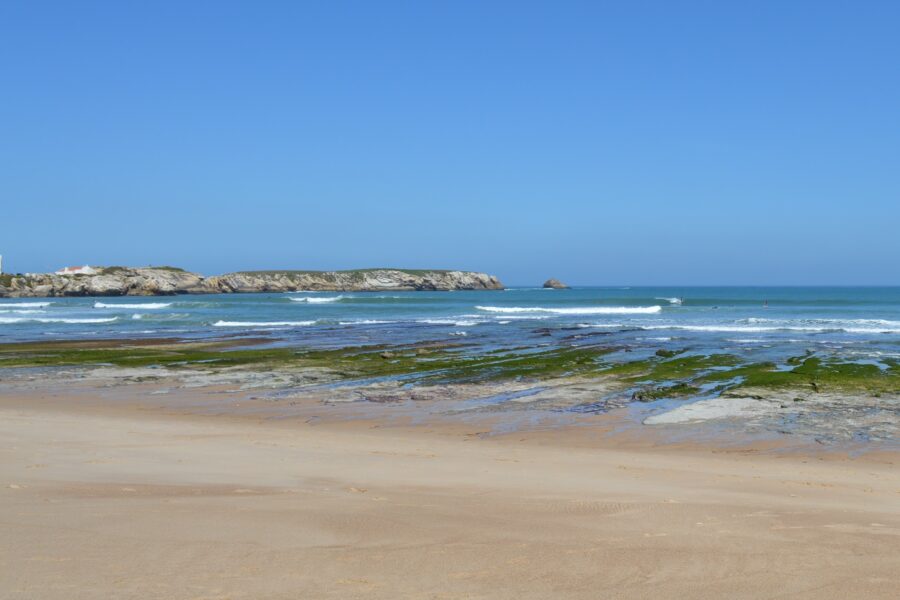 Os perigos da atividade humana na biodiversidade natural do Baleal