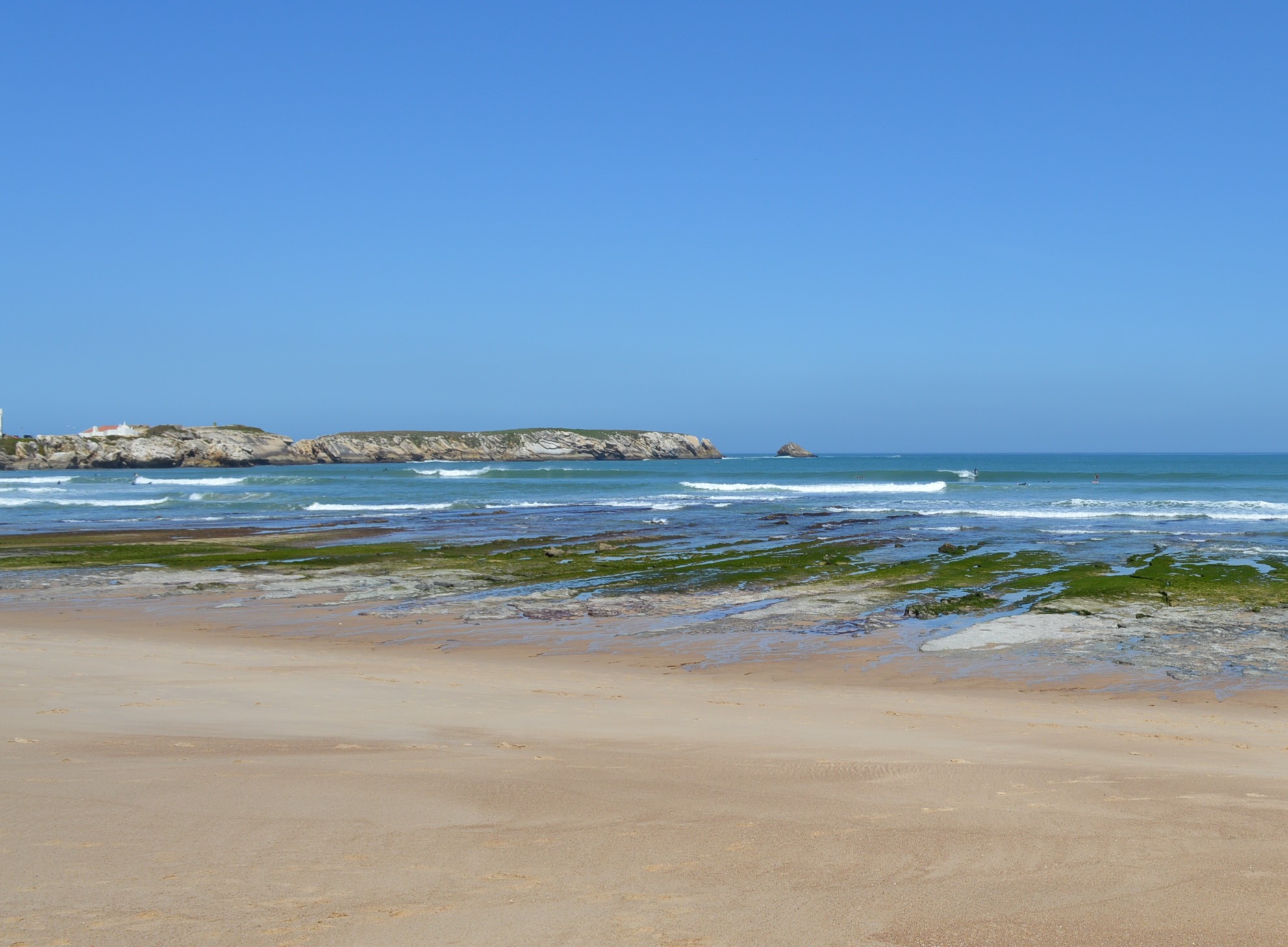 Os perigos da atividade humana na biodiversidade natural do Baleal