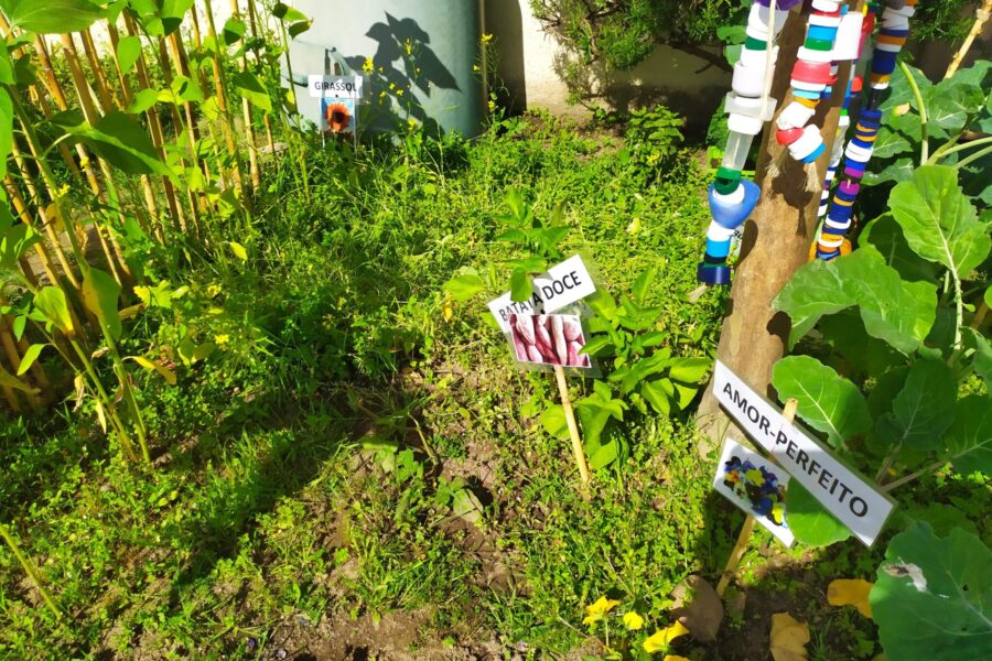 Horta biológica da Escola Básica de Perafita