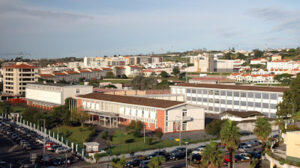 Escola Secundária Domingos Rebelo