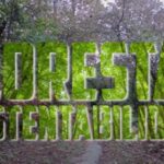 Floresta É Sustentabilidade
