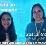 Kids Dive – Oceanário de Lisboa (Proteção dos Oceanos)