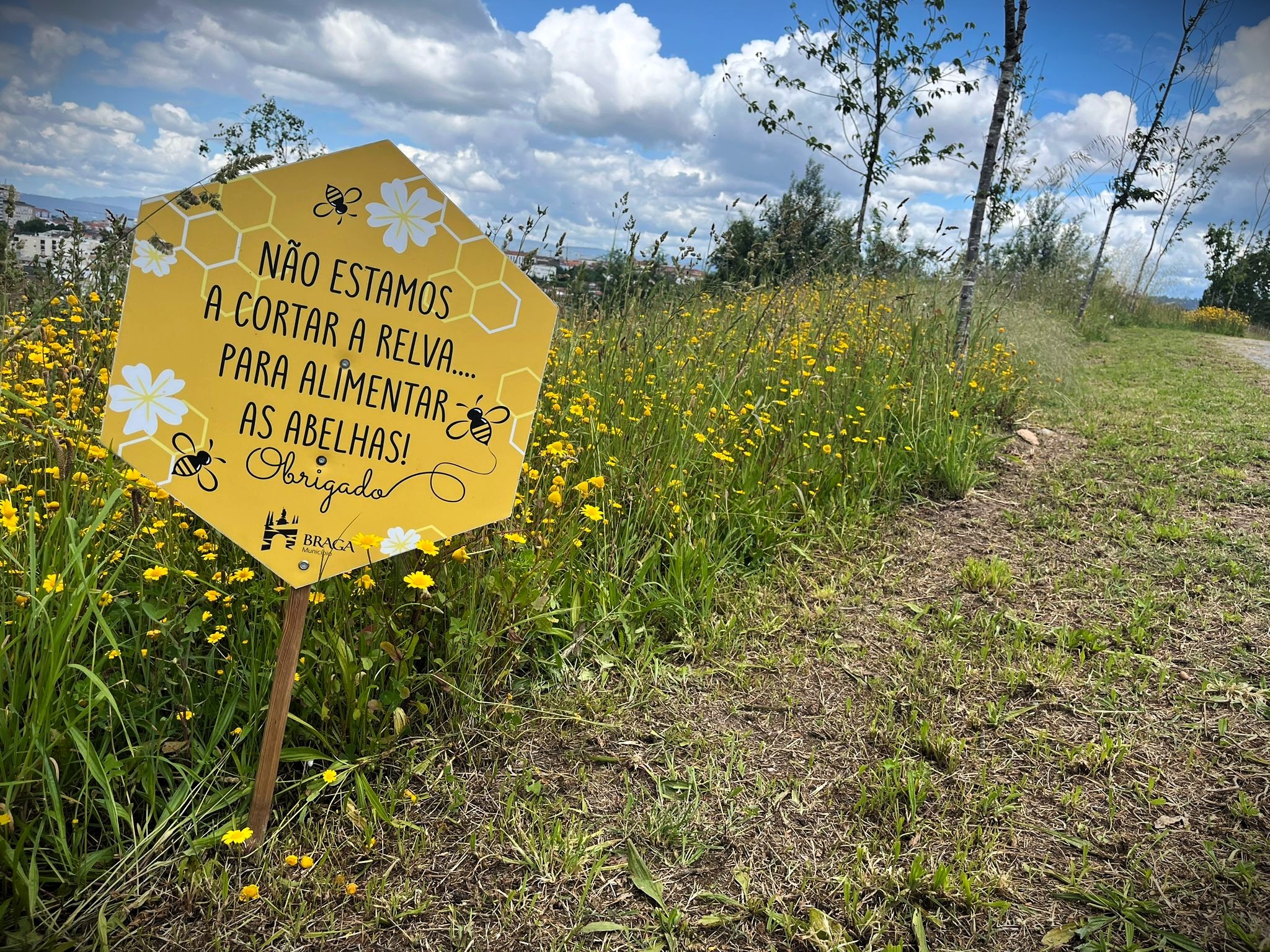 Em Braga procura-se promover a polinização das plantas por abelhas