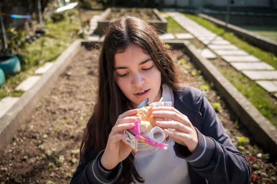 O Impacto do Plástico na Alimentação