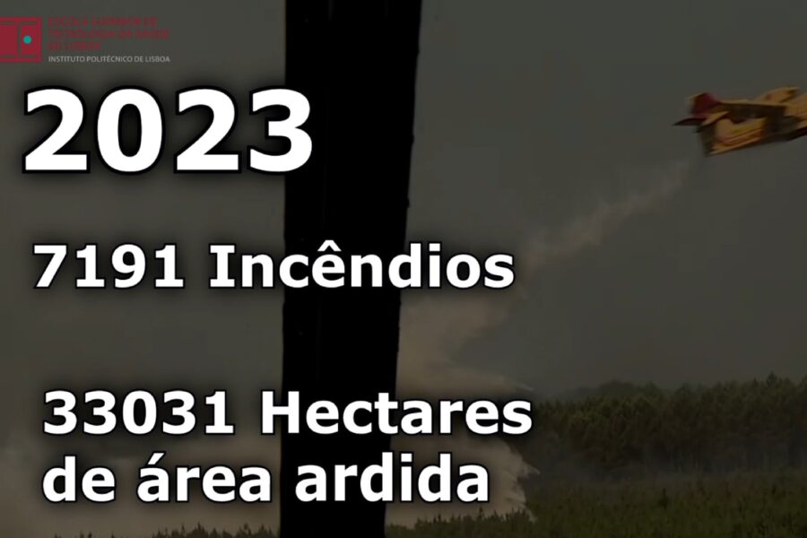 Incêndios Florestais em Portugal