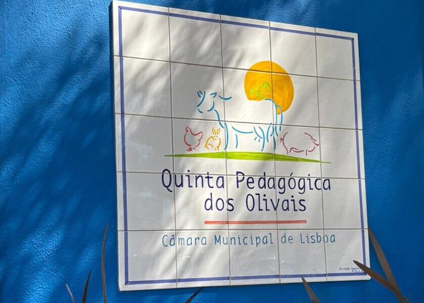 Quinta Pedagógica dos Olivais promove o mundo rural em contexto urbano