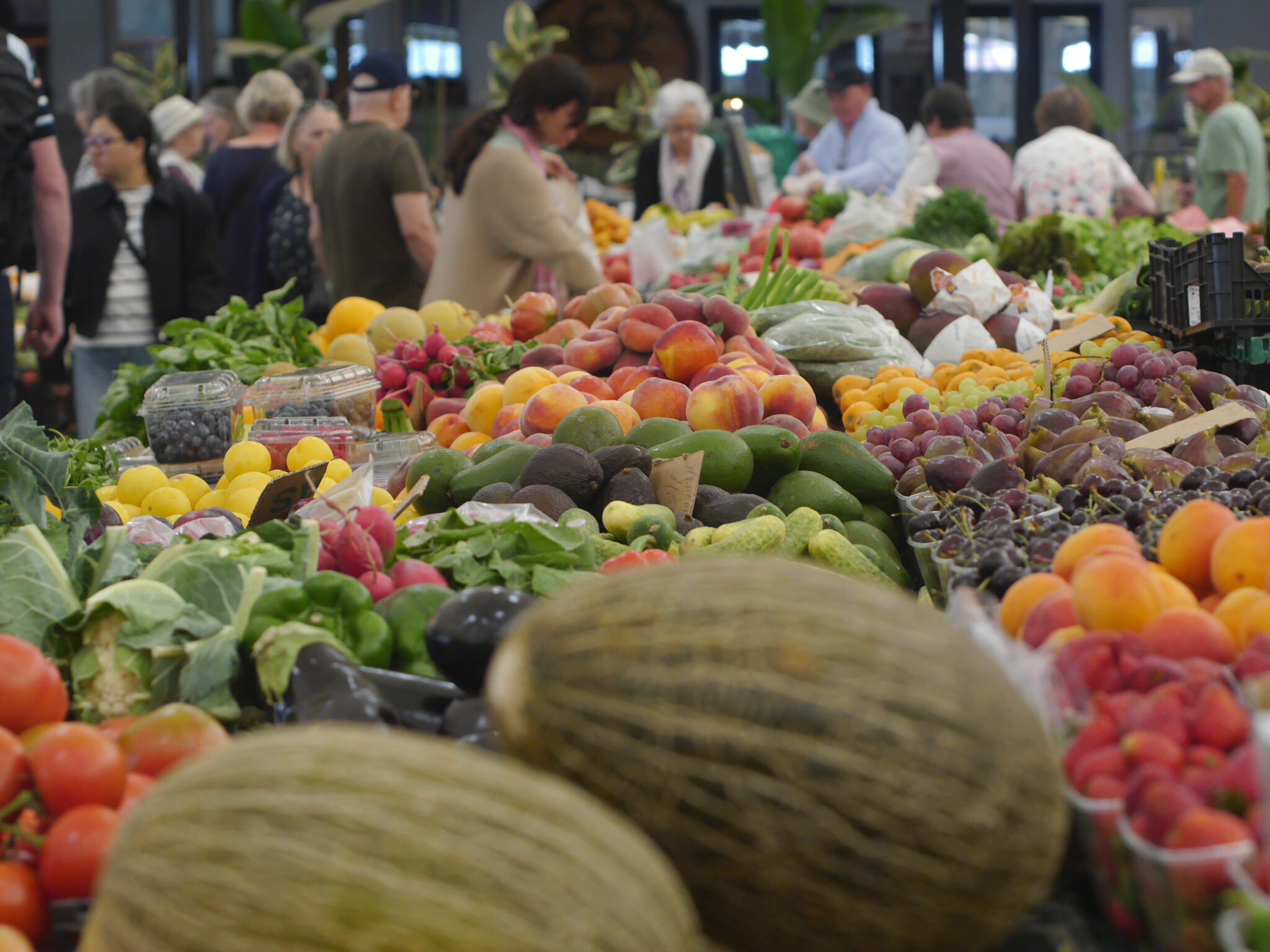 A Pegada Hídrica dos Produtos Hortícolas: Impactos Invisíveis nos Nossos Ecossistemas