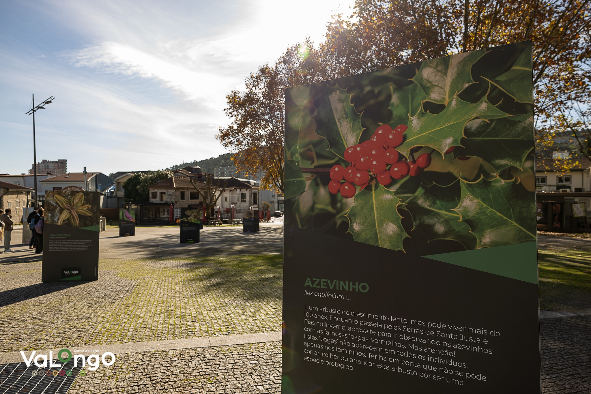 Tótemes da Biodiversidade