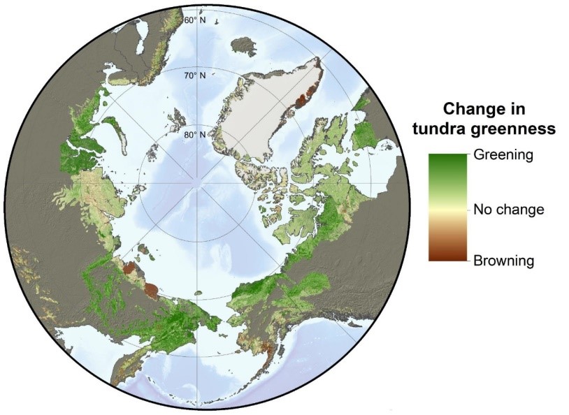 Artic greening: as consequências e como nos iremos adaptar.