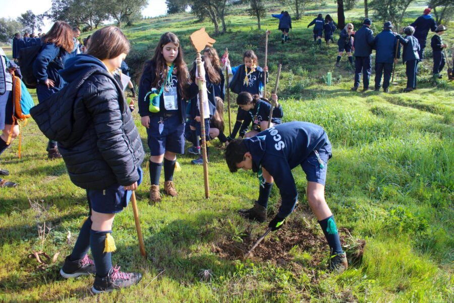 Escuteiros Plantam Árvores para um Futuro Sustentável