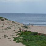 Salvar a praia… ou lembrá-la em fotografias?