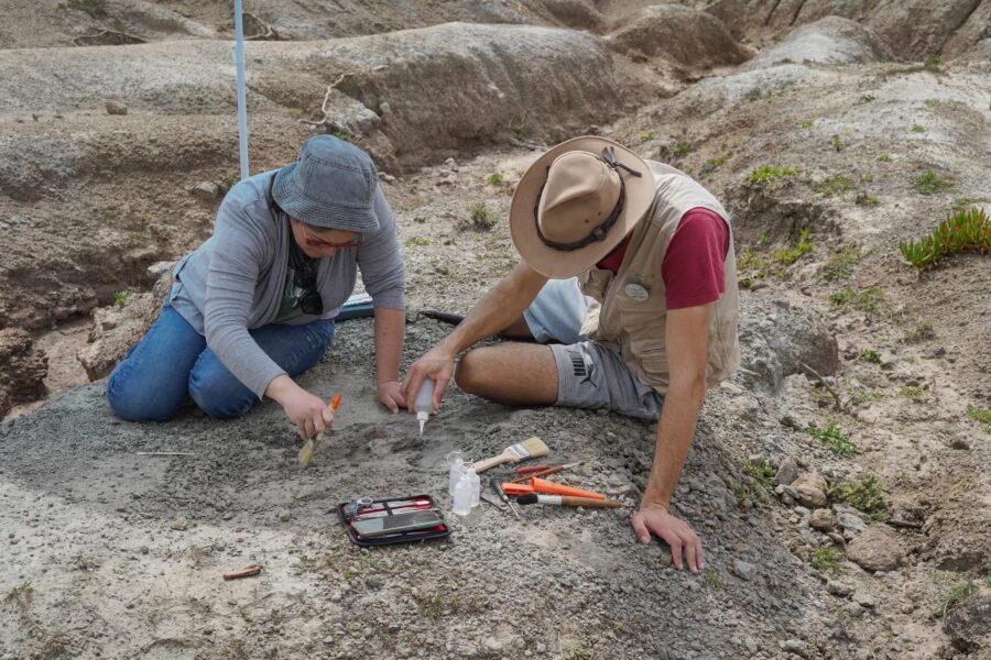 Paleontology’s role in environmental conservation and understanding of human history