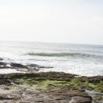 Life on the frontlines of a changing ocean