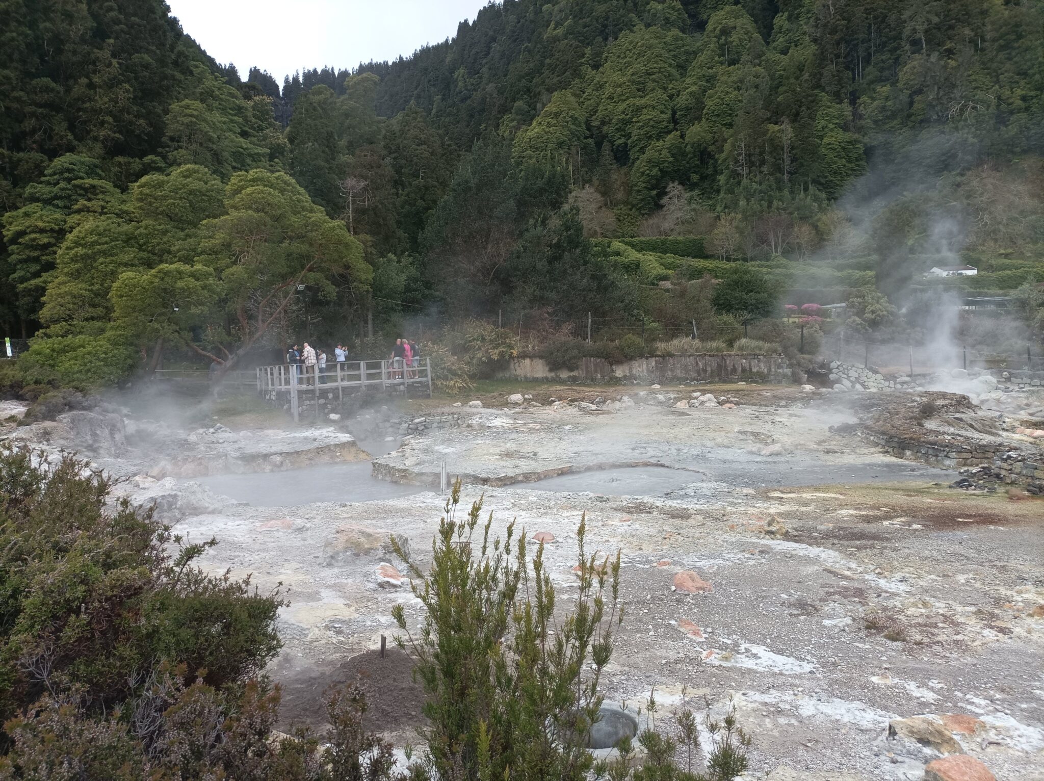 São Miguel: O Laboratório Vivo da Terra e o Encanto das Furnas
