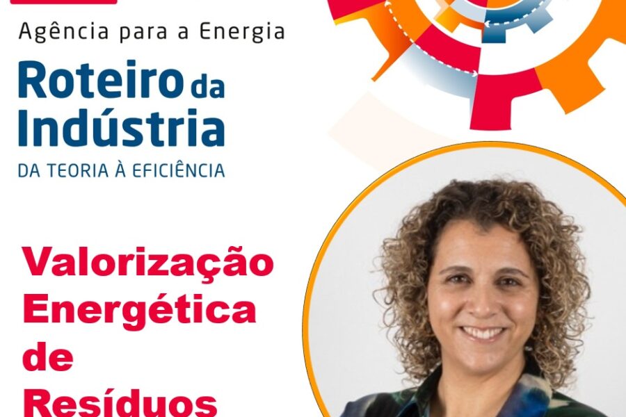 Valorização Energética de Resíduos Industriais