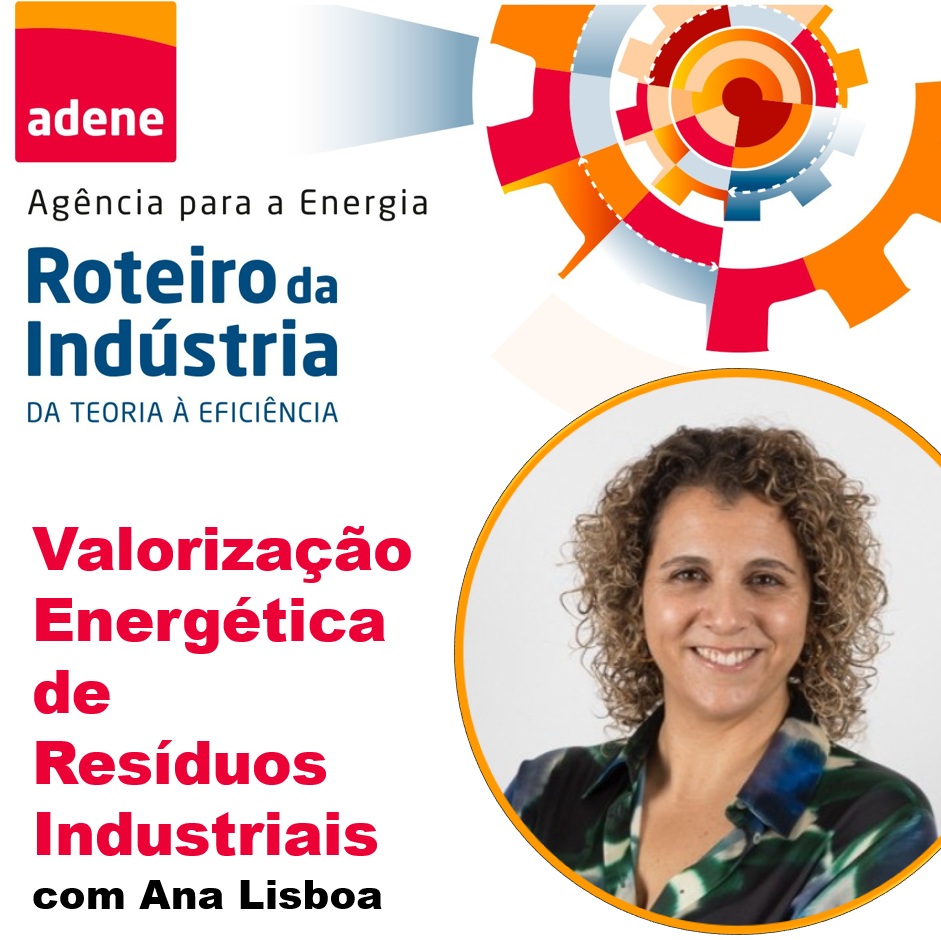 Valorização Energética de Resíduos Industriais