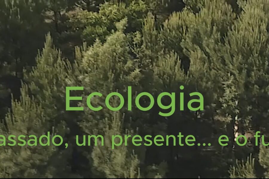Ecologia CCM