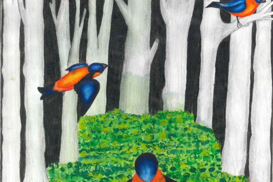 Quando a Natureza Inspira a Arte e Desperta Consciências
