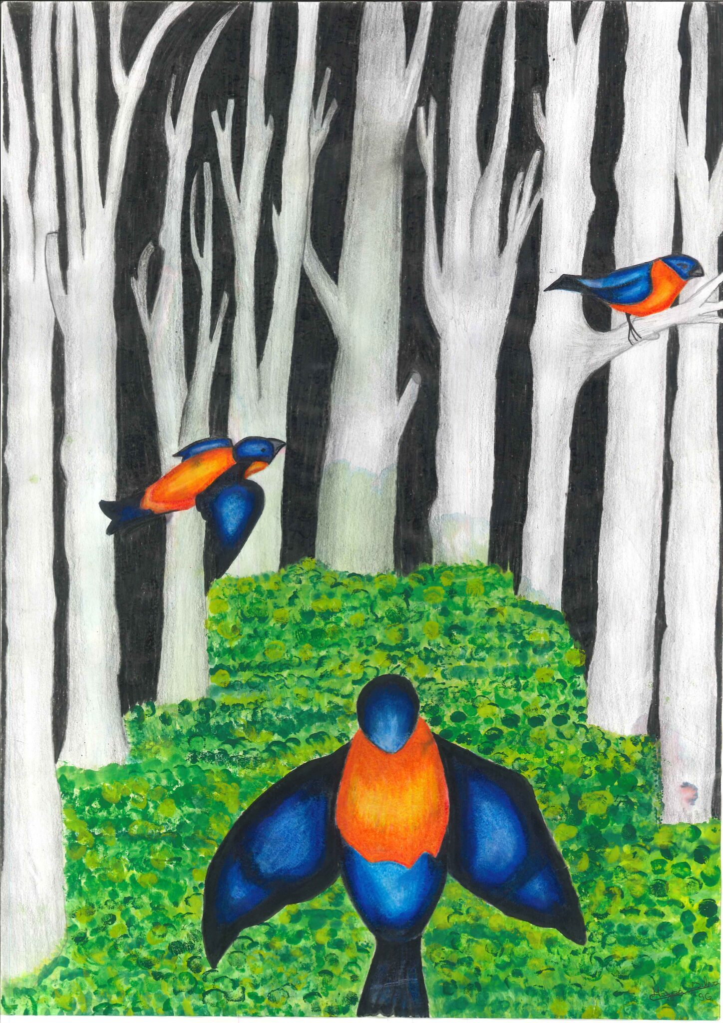 Quando a Natureza Inspira a Arte e Desperta Consciências