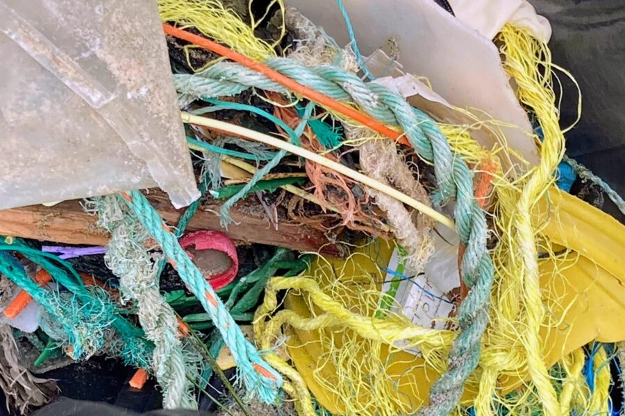 “Oceano de Plástico: Vida em Perigo”