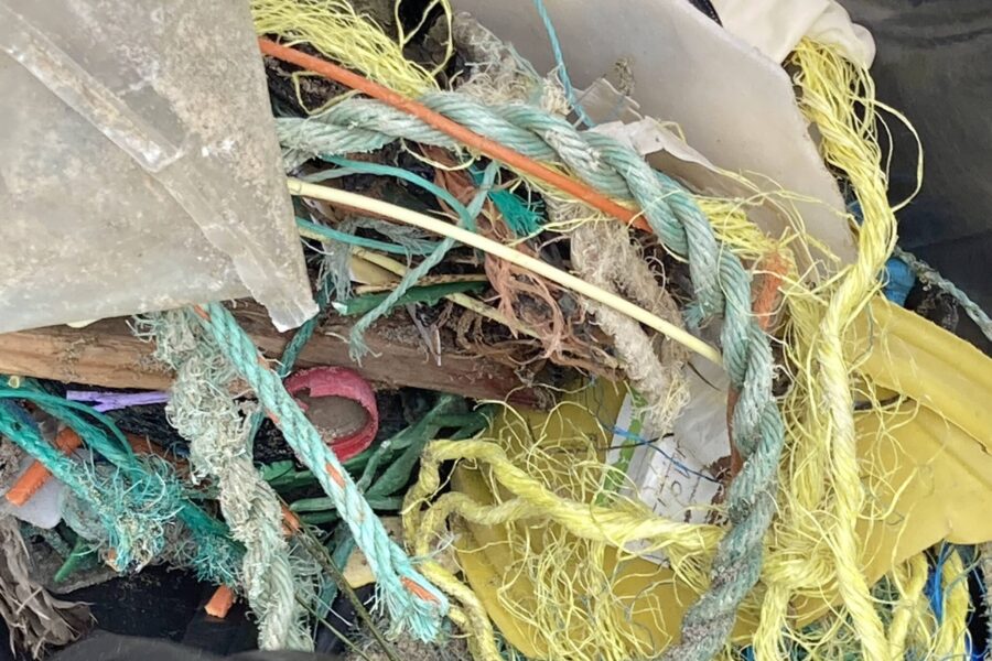 “Oceano de Plástico: Vida em Perigo”