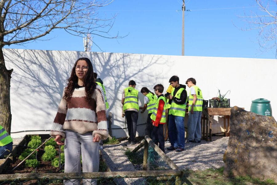 Cultivar e compostar na Escola