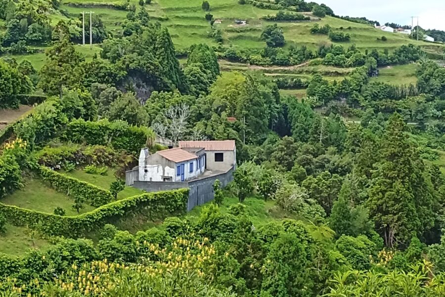 Açores: O Encontro de Placas Tectónicas e a Doçura do Ananás