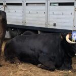 Maronesa une tradição e futuro no coração do Alvão