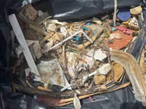 Estes foram os resíduos de um dos sacos recolhidos no dia, sendo que a maioria são plásticos já degradados, apresentando tamanhos bastante reduzidos.