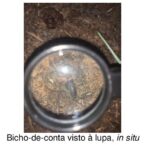 “Explorar para aprender”: Alunos do 11.º ano levam a sala de aula para a natureza