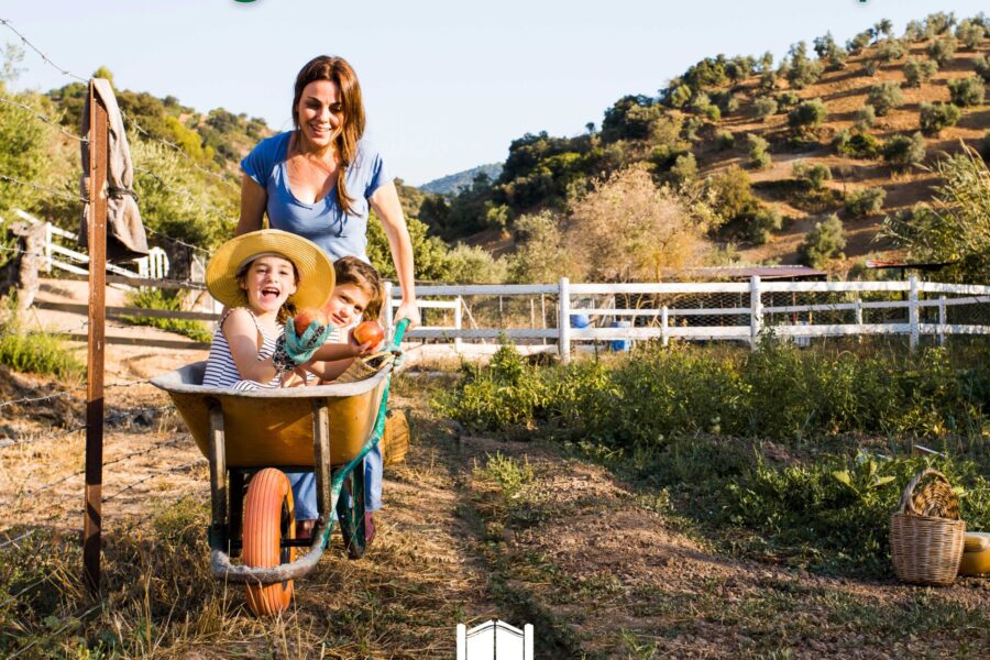 Vantagens da vida no campo