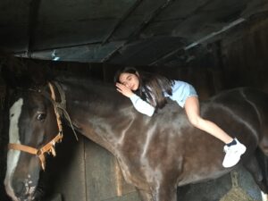 Cuidar bem dos cavalos é essencial para garantir sua saúde, segurança e qualidade de vida. Alimentação adequada, abrigo, higiene, acompanhamento veterinário e manejo correto formam a base do bem estar. Além disso, o cuidado diário fortalece a confiança entre o cavalo e o cuidador, tornando a relação mais harmoniosa e segura. Antes de qualquer atividade equestre, é preciso lembrar que o cavalo é um ser sensível que merece atenção, respeito e dedicação. Cuidar bem não é apenas obrigação- é um ato de amor e responsabilidade.