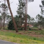 Tempestade Kristin no município de Ílhavo