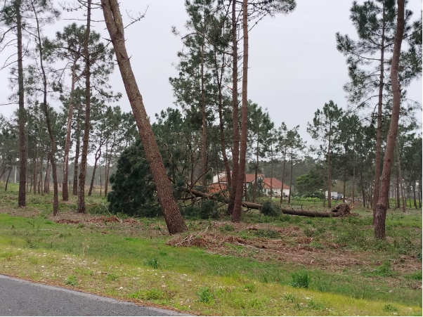 Tempestade Kristin no município de Ílhavo