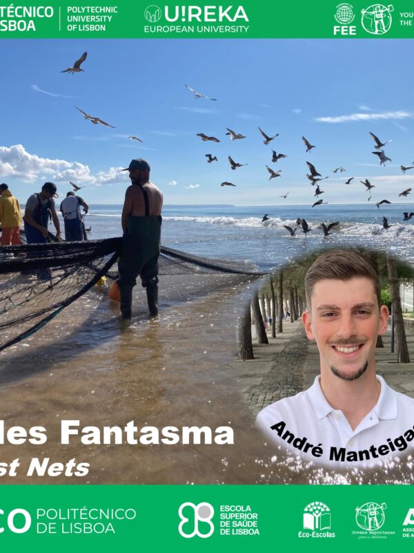 Redes Fantasma: principais causas, consequências e eventuais soluções