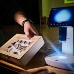 Escola de Braga mobiliza alunos para (Re)conhecer os polinizadores de Portugal