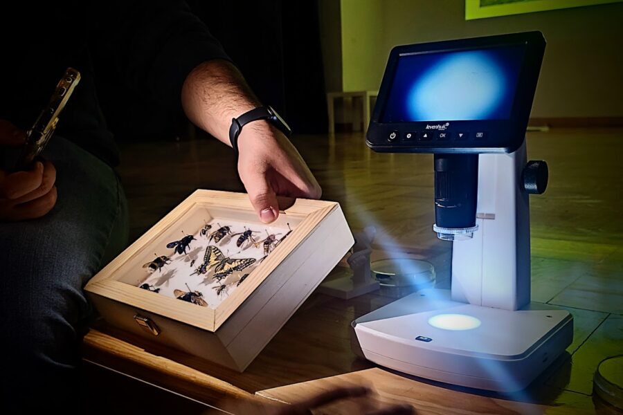 Escola de Braga mobiliza alunos para (Re)conhecer os polinizadores de Portugal