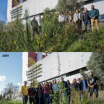 ESCS promove micro florestas urbanas como exemplo de sustentabilidade