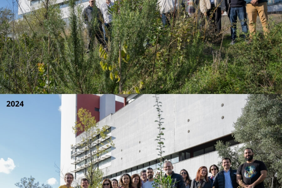 ESCS promove micro florestas urbanas como exemplo de sustentabilidade